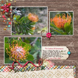 Pin Cushions