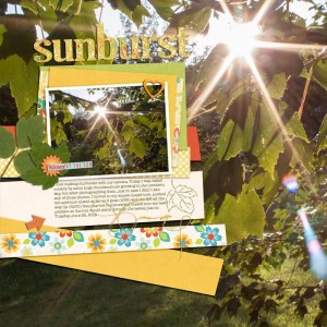 July template - sunburst