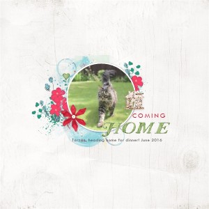Coming Home
