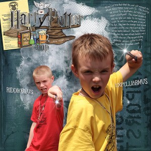 Harrypottercamp16