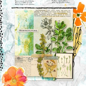 into my garden