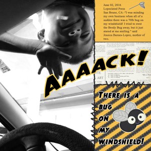 Aack-a-bug