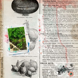 How Does Your Garden Grow