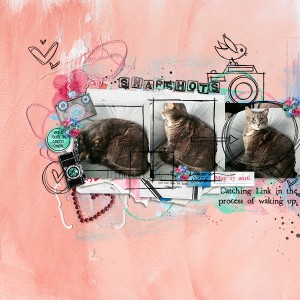Snapshots