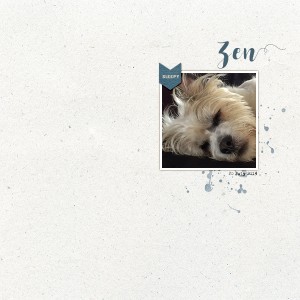 ZEN ( July scraplift challenge)