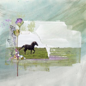Dartmoor Pony