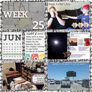 2016-Week-25-Left600