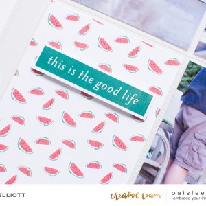 Backyard BBQ | Paislee Press CT