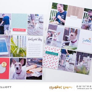 Backyard BBQ | Paislee Press CT