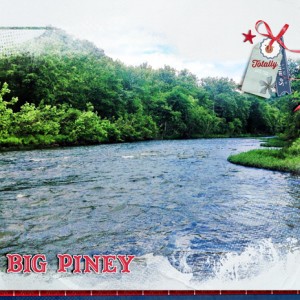 BigPiney