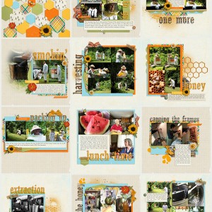 Honey Album 2016