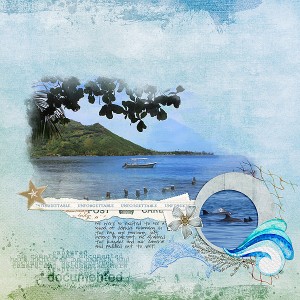Dolphins