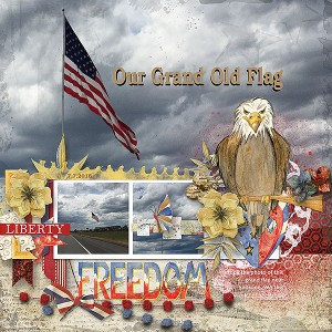 Our-Flag