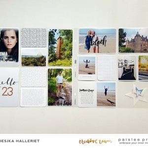 Paislee-Summer-projectbyAnnoesjka 01