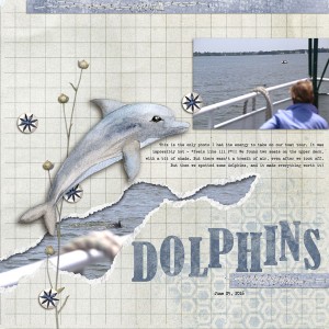 Dolphins