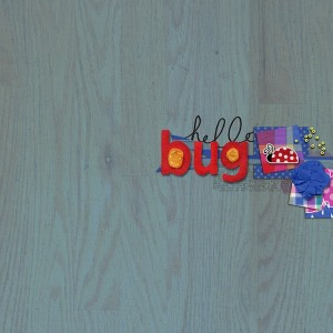 Bug
