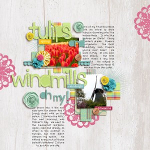 Tulips and Windmills, Oh My!