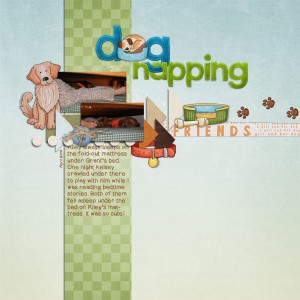 Dog Napping
