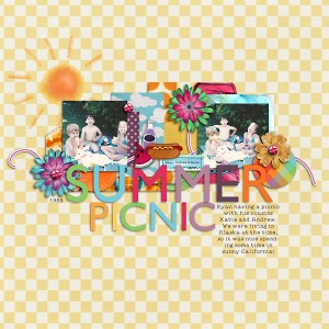 Summer Picnic
