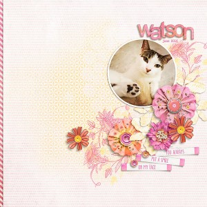 watson