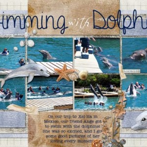 Swimming With Dolphins