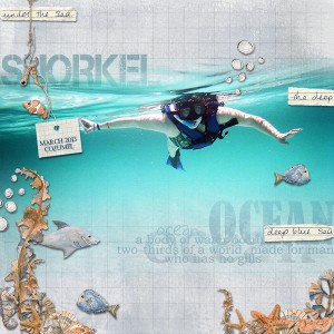 Snorkel