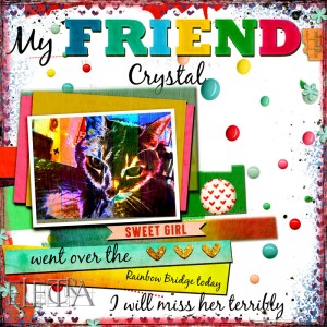 My Friend