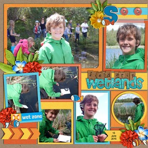 Wetlands Field Trip