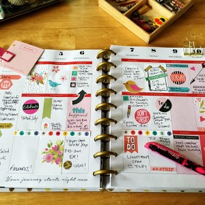 Mambi Planner May collection
