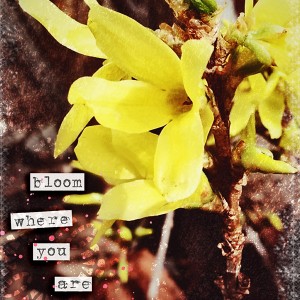 ATC_Spring