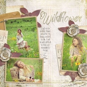 Wildflower