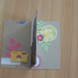 hybrid album in a box