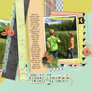 tall-grass