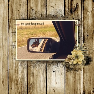 Open-road