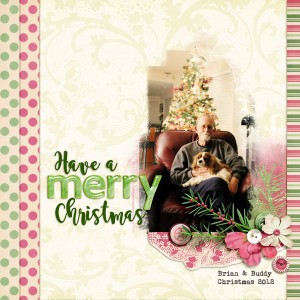 Have a Merry Christmas