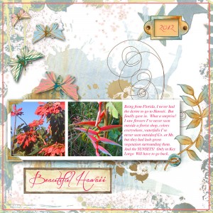 Beautiful-hawaii-dinsk-chal