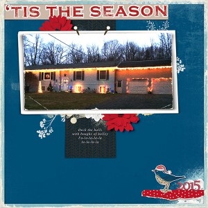 Christmas Lights 15