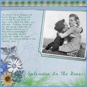 Splendor-in-the-grass