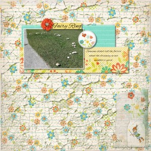 Fairy Ring