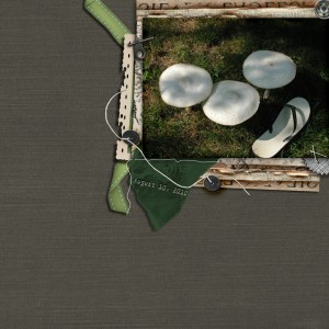 100810_mushroom_by_maple