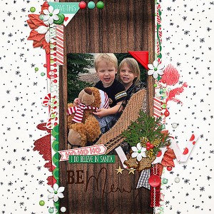 Sleigh Pic