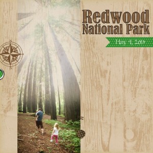 Redwoods