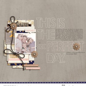 * A Perfect Day *