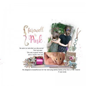 Farewell to Pink