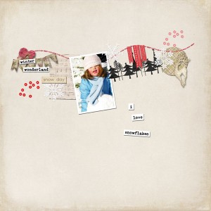 Pinterest Ch: Snowflakes