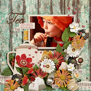South African Tea Room Connor 2013
