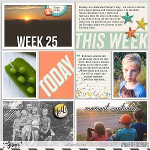 2016 week 25 - left side