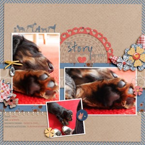 Play & Sleep