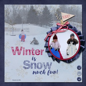 Winter Snow Fun