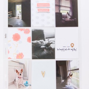 Girl's Best Friend Page 2